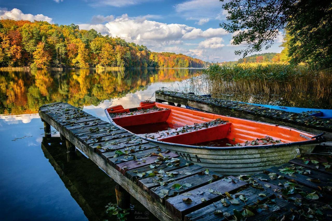 Zamek Joannitow Hotell Łagów Exteriör bild